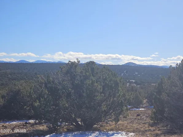 County Road 8220, Concho, AZ 85924