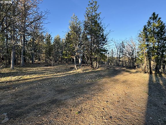 5th image of Piney Wood Dr #4