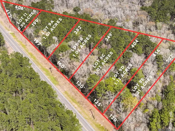 LOT 9C Highway 42, Livingston, LA 70754