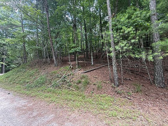 2nd image of LOT 1336 Lyric Ln