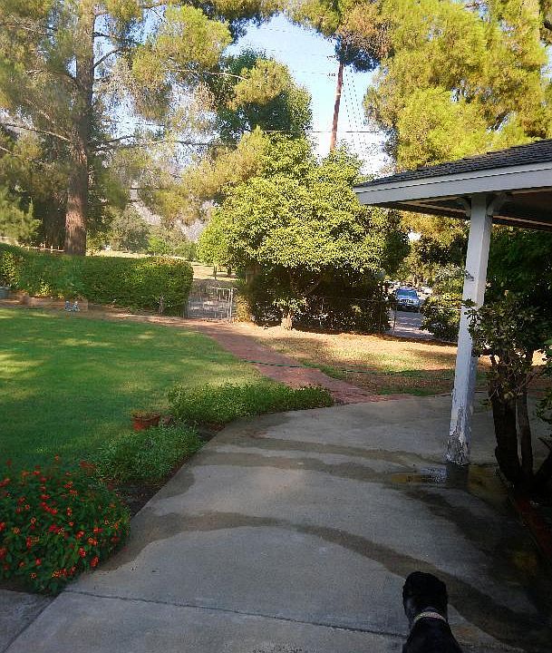 1st image of 1975 Hill Ave
