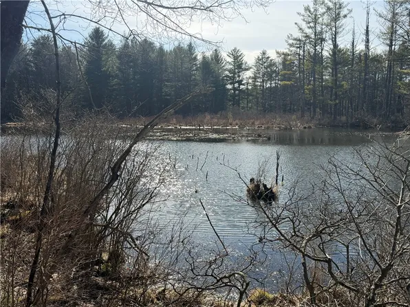 Hattie Clark Rd Lot 2, Greene, NY 13778