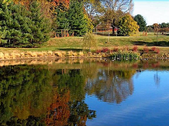 Community Pond