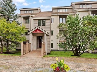 8 Ober Tal Dr, Stratton, VT 05360