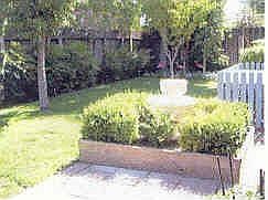 yard