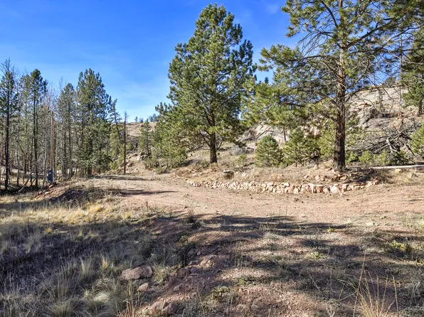 238 Chateau West Dr, Florissant, CO 80816