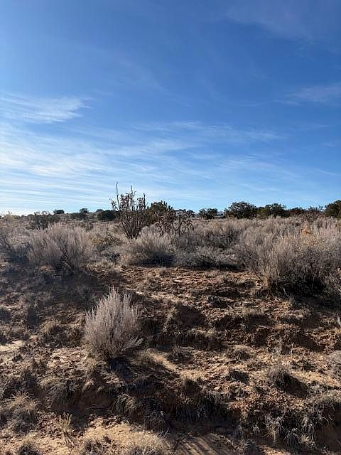 2nd image of 29th St SW