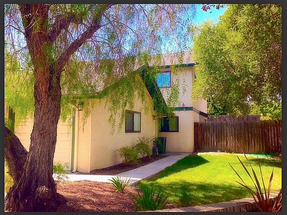 Large Yard / side and back 