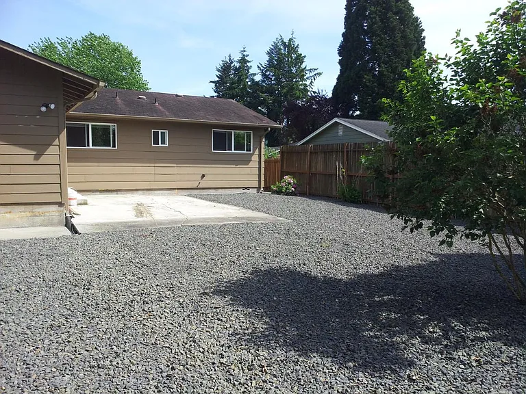 Back yard