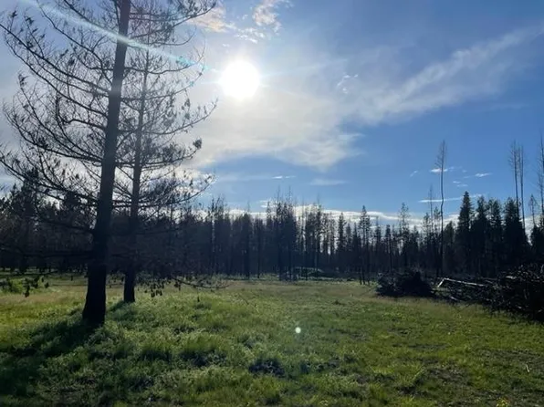 15214 E Oregon Rd, Elk, WA 99009