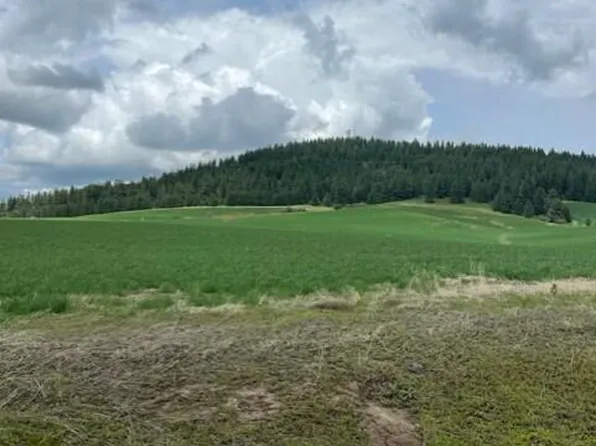 L2 W Sunny Slopes Rd, Worley, ID 83876