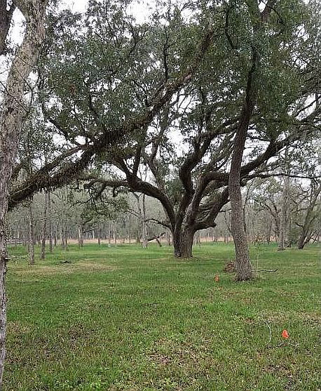 1st image of 31511 Bayou Bnd