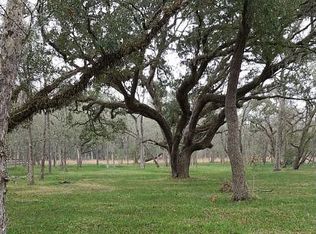 31511 Bayou Bnd, Richwood, TX 77515
