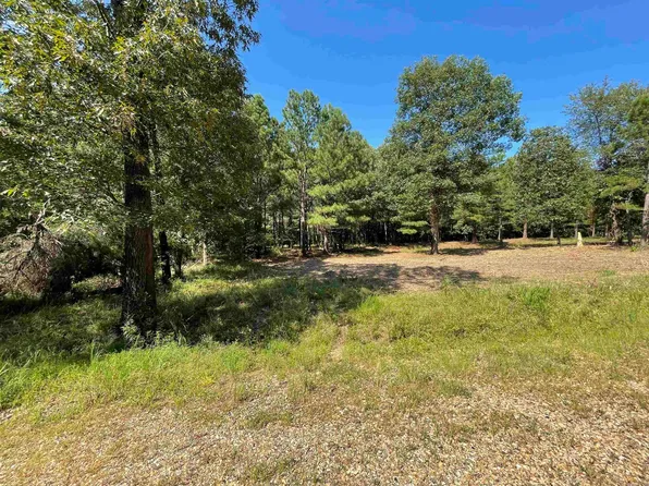 Susie Ln, Mena, AR 71953