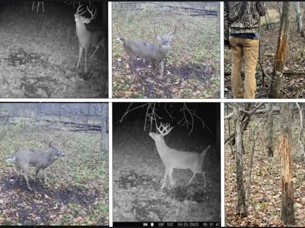 000 North Lane, Hillsboro, WI 54634