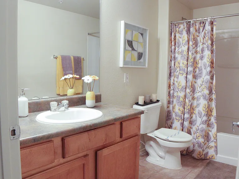 The Villas at Camelback Crossing — Photo 77