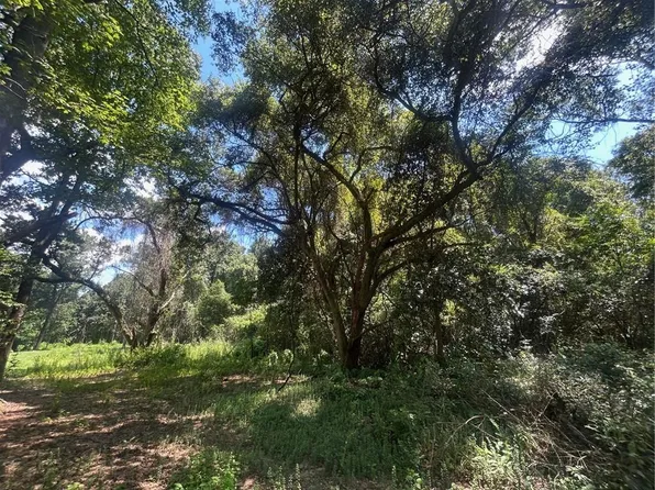 0 Creel Rd #1, Theodore, AL 36582