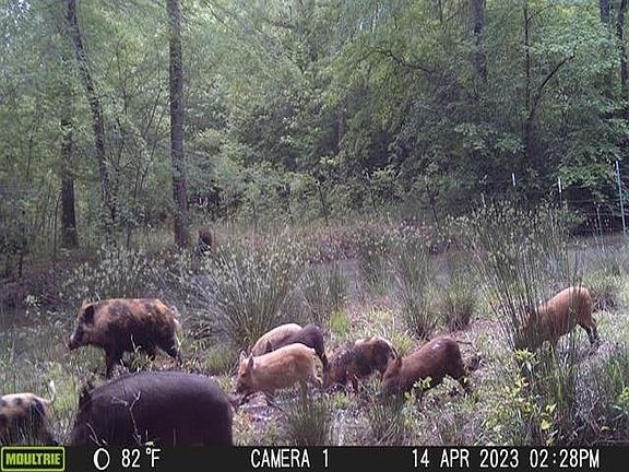 4th image of 0 Fm 839 N