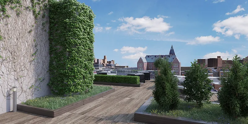 Rented by MNS | media 30