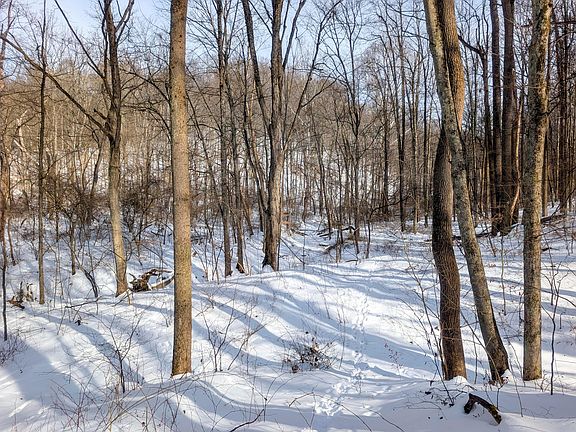 5th image of 0 Miltonsburg Calais Rd Tract 11