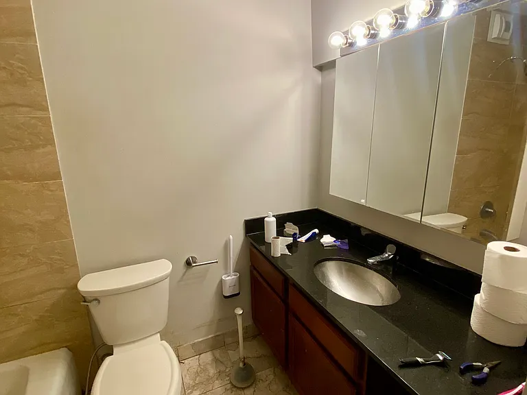 525 W Hawthorne Pl #2105 — Photo 12
