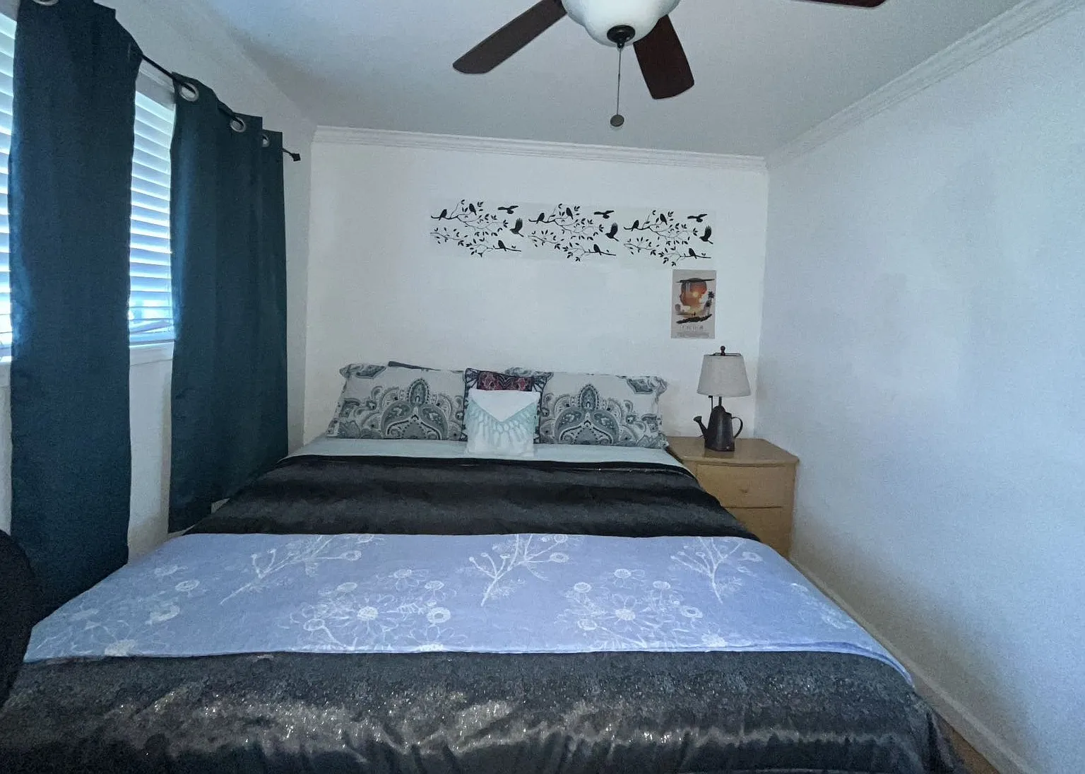 1 bed, 370 sqft, $800 — Photo 2