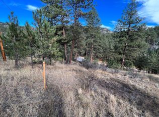 221 Insmont Rd, Bailey, CO 80421