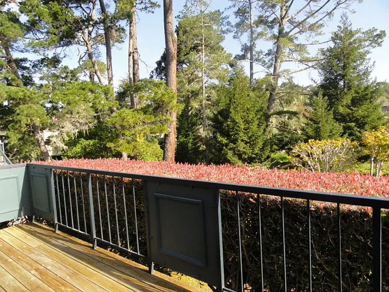 79 Del Mesa Carmel — Photo 10