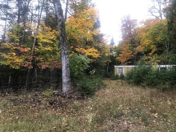 LOT 56 S Rocky Point Rd, Pickford, MI 49774