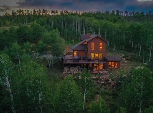 324 Iron Mountain Rd, Fairplay, CO 80440