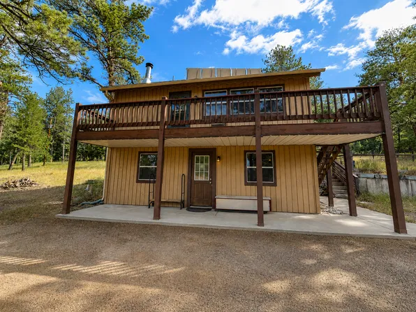 126 Crestview Ln, Bailey, CO 80421