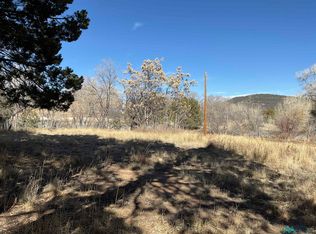 9 Placer St, Pinos Altos, NM 88053