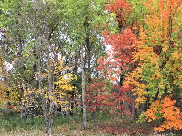 PARCEL 1 90th St, Frederic, WI 54837