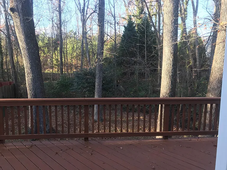 Beautiful serene backyard with a creek view