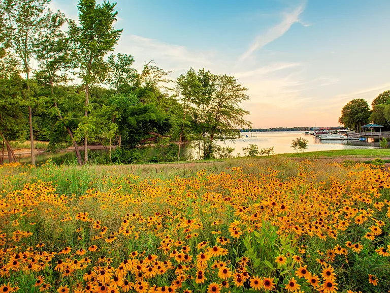 LangTree Lake Norman — Photo 20