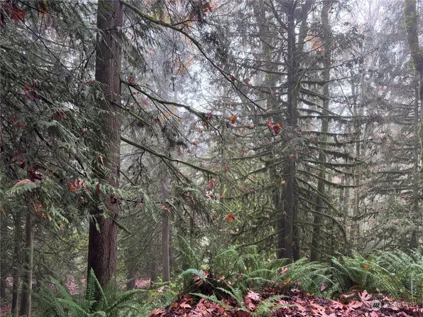 31921 148th Drive NE, Arlington, WA 98223