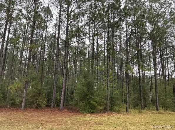 11 S Kensington Ave, Lecanto, FL 34461