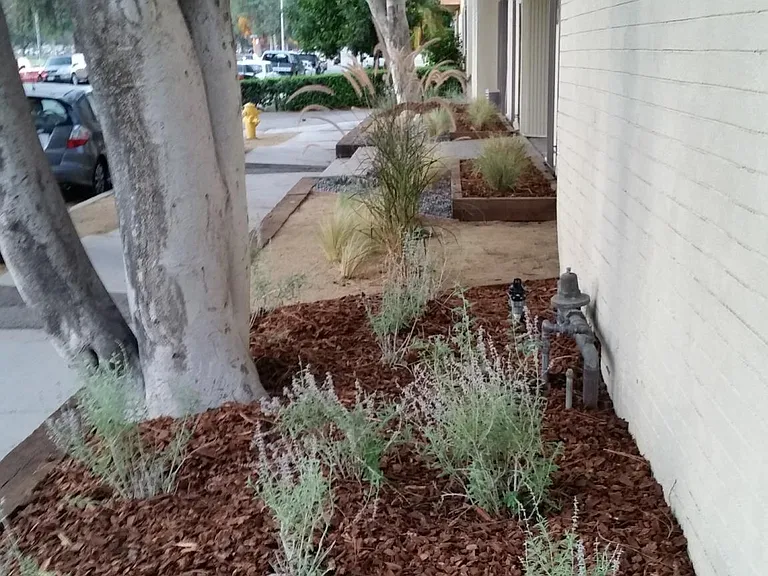 5040 Tujunga Ave #6 — Photo 16