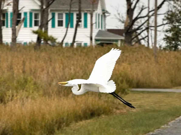 1606 Steamboat Wharf Rd, Fishing Creek, MD 21634