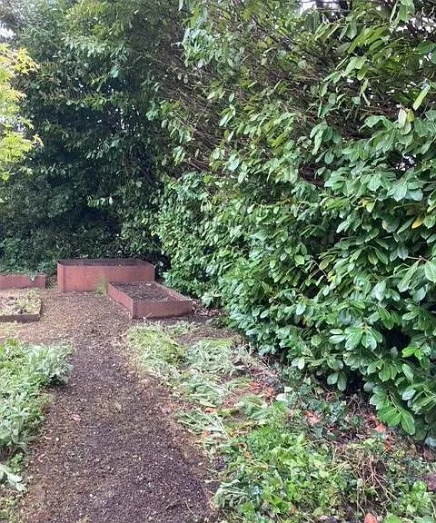 raised beds for veggies, etc. of your choice
