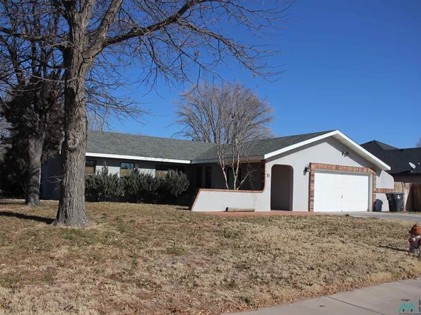 61 Bent Tree Rd, Roswell, NM 88201