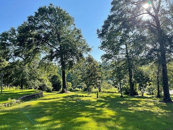 Pond view from front yard