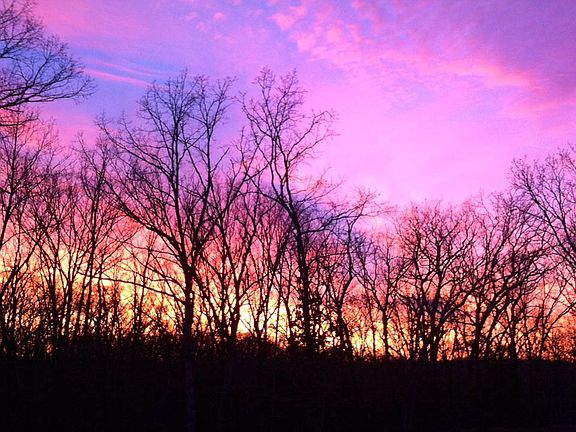 Sunset from back patio