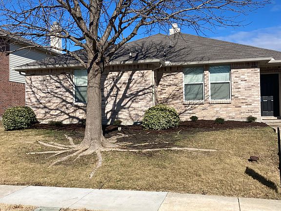 Winter in front yard.