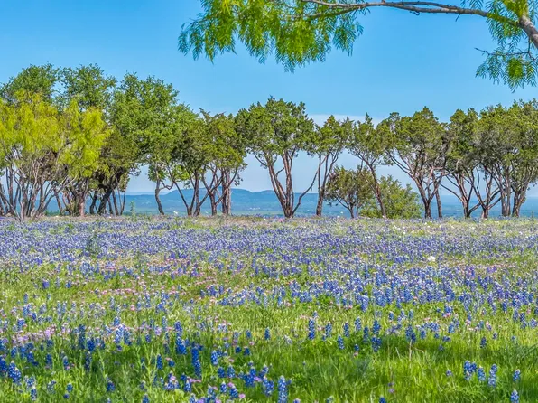 3531 RR 3347 Road, Round Mountain, TX 78663