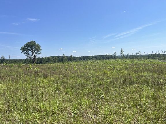 2nd image of 0 Howard P Anderson Rd