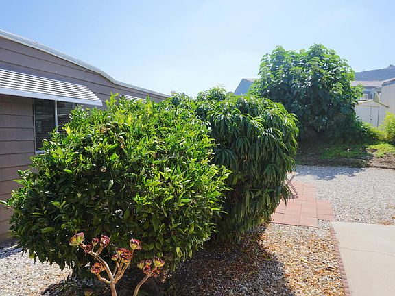 5th image of 79 Farland St #79