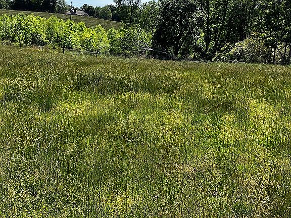 3rd image of 4844 Collins Rd