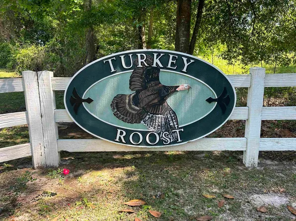 0 Turkey Roost Rd, Tallahassee, FL 32317