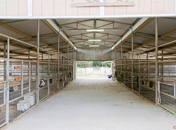 Concrete walkway and lights in the barn